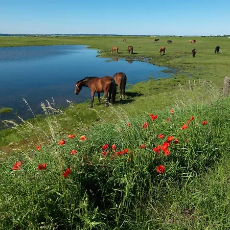 Fischerstieg Ostseekieker Insel Poel